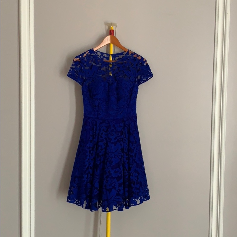 Ted Baker Sheer Floral Overlay Dress Size 1